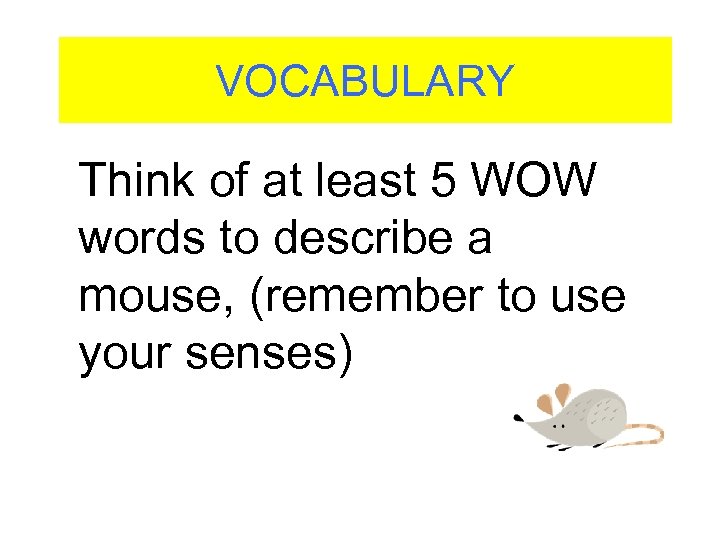 VOCABULARY Think of at least 5 WOW words to describe a mouse, (remember to