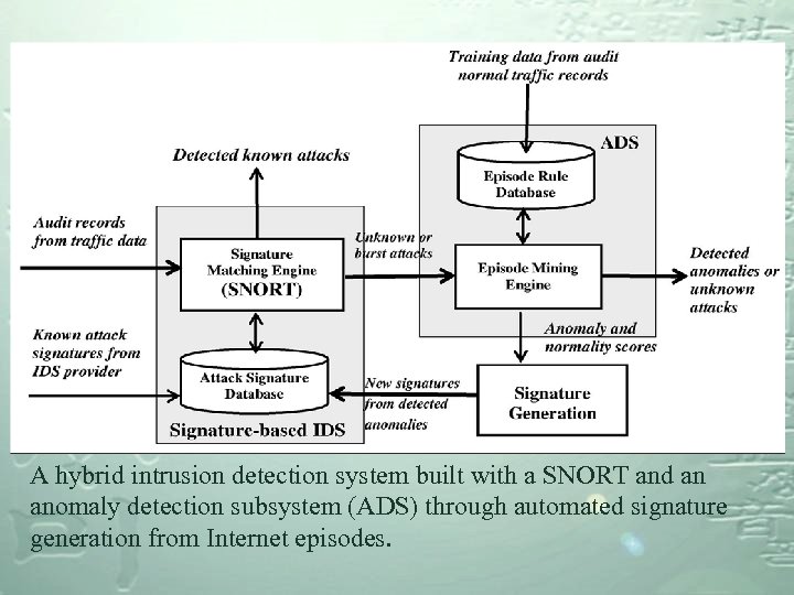 A hybrid intrusion detection system built with a SNORT and an anomaly detection subsystem