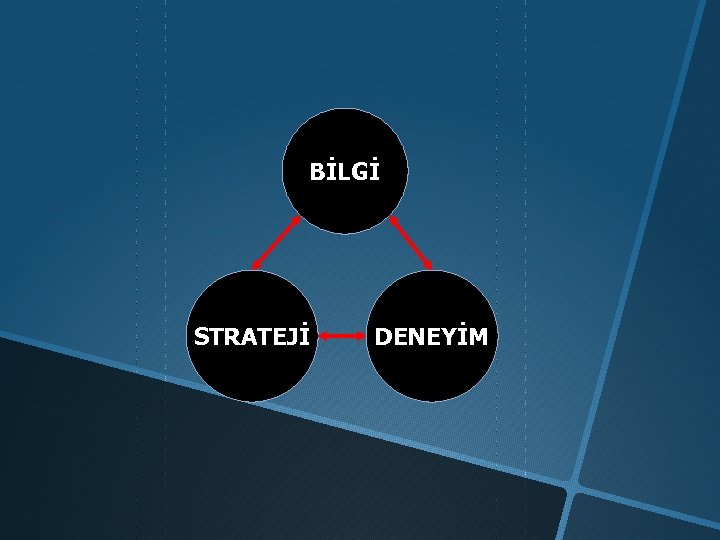 BİLGİ STRATEJİ DENEYİM 