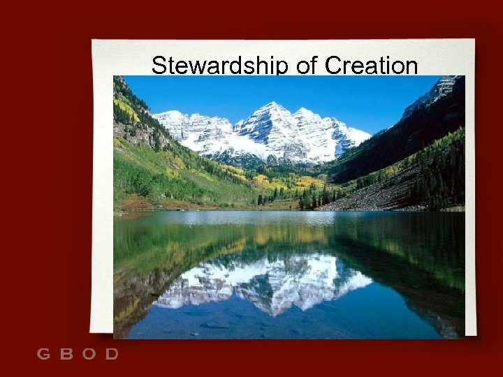 Stewardship of Creation 