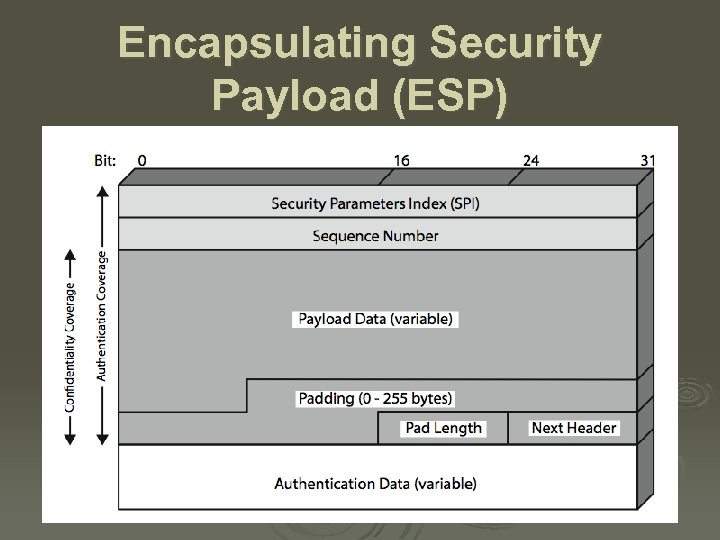 Encapsulating Security Payload (ESP) 