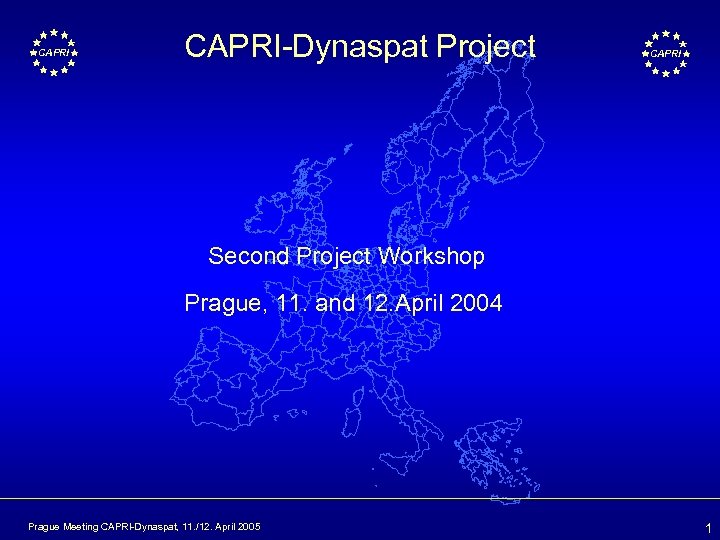 CAPRI-Dynaspat Project CAPRI Second Project Workshop Prague, 11. and 12. April 2004 Prague Meeting