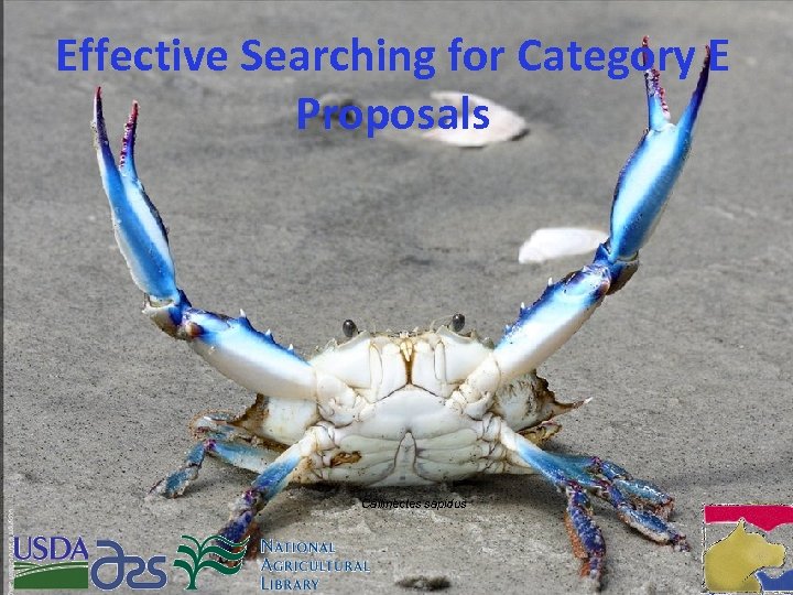 Effective Searching for Category E Proposals Callinectes sapidus 