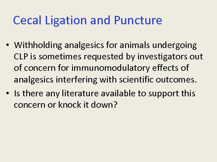 Cecal Ligation and Puncture • Withholding analgesics for animals undergoing CLP is sometimes requested