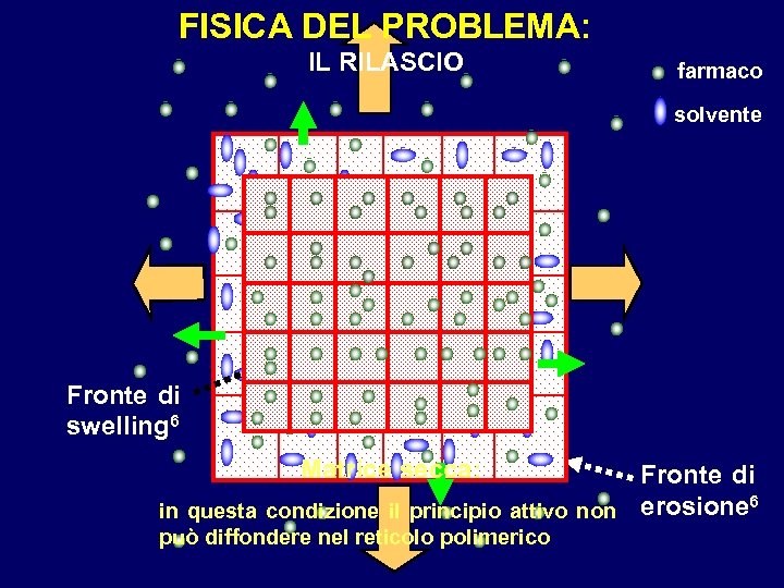 FISICA DEL PROBLEMA: IL RILASCIO farmaco solvente Fronte di swelling 6 Matrice secca: Fronte