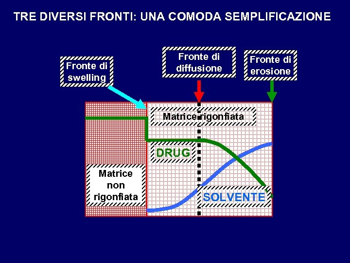 TRE DIVERSI FRONTI: UNA COMODA SEMPLIFICAZIONE Fronte di swelling Fronte di diffusione Fronte di