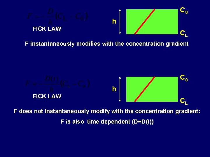 C 0 h FICK LAW CL F instantaneously modifies with the concentration gradient C