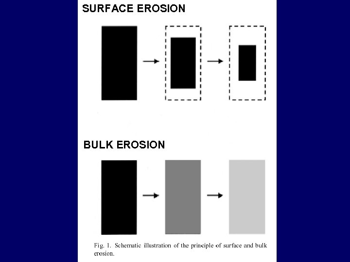 SURFACE EROSION BULK EROSION 