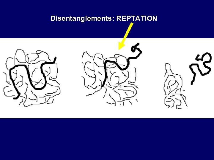 Disentanglements: REPTATION 