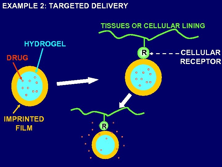 EXAMPLE 2: TARGETED DELIVERY TISSUES OR CELLULAR LINING HYDROGEL R DRUG IMPRINTED FILM R