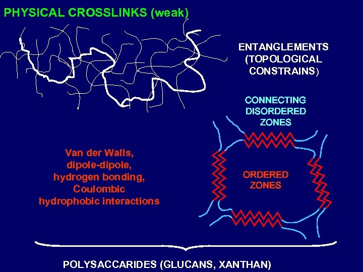 PHYSICAL CROSSLINKS (weak) ENTANGLEMENTS (TOPOLOGICAL CONSTRAINS) CONNECTING DISORDERED ZONES Van der Walls, dipole-dipole, hydrogen