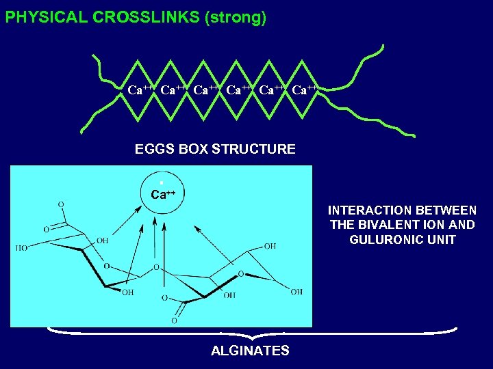 PHYSICAL CROSSLINKS (strong) Ca++ Ca++ EGGS BOX STRUCTURE Ca++ INTERACTION BETWEEN THE BIVALENT ION