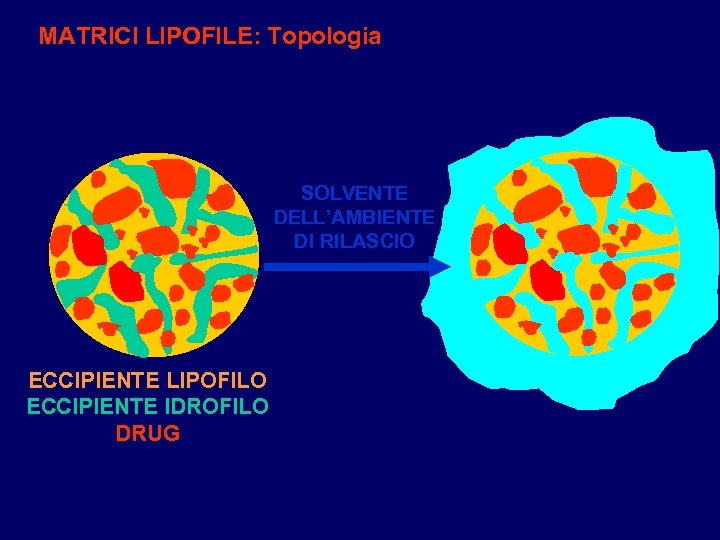 MATRICI LIPOFILE: Topologia SOLVENTE DELL’AMBIENTE DI RILASCIO ECCIPIENTE LIPOFILO ECCIPIENTE IDROFILO DRUG 