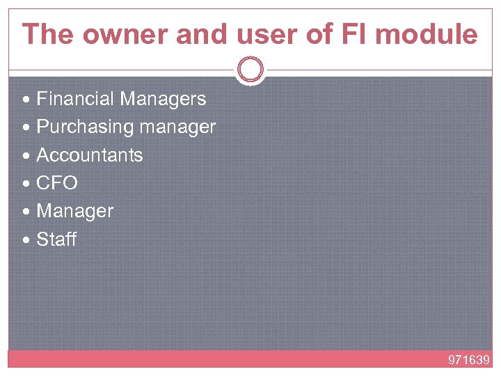 The owner and user of FI module Financial Managers Purchasing manager Accountants CFO Manager