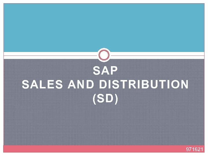 SAP SALES AND DISTRIBUTION (SD) 971621 