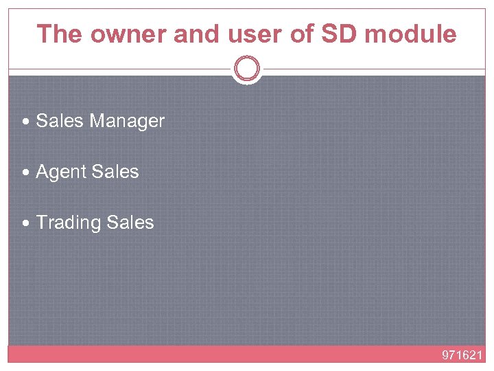 The owner and user of SD module Sales Manager Agent Sales Trading Sales 971621