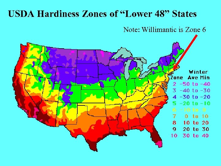 USDA Hardiness Zones of “Lower 48” States Note: Willimantic is Zone 6 