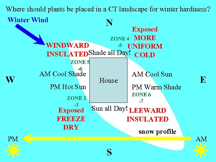 Where should plants be placed in a CT landscape for winter hardiness? Winter Wind
