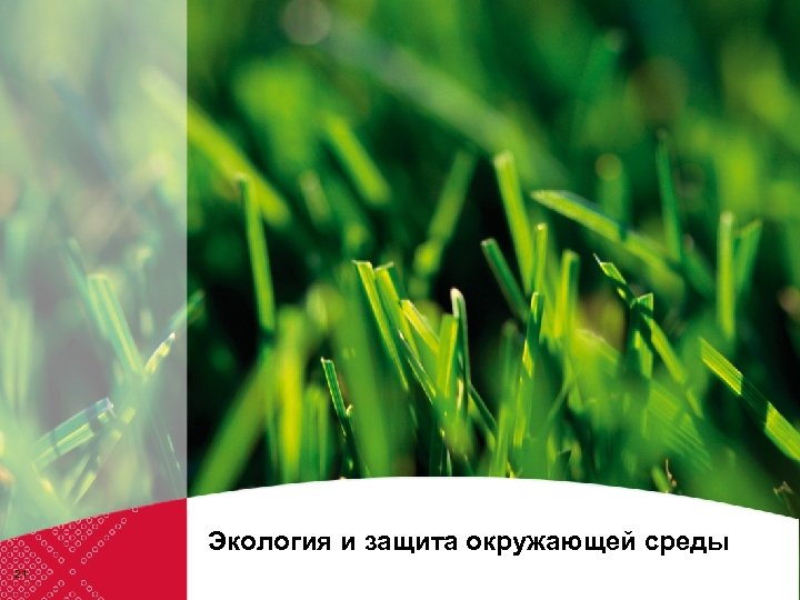 Экология и защита окружающей среды 21 