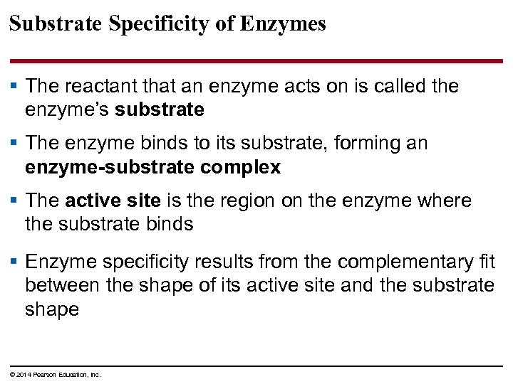 Substrate Specificity of Enzymes § The reactant that an enzyme acts on is called