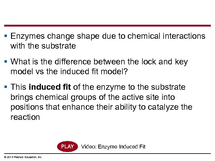 § Enzymes change shape due to chemical interactions with the substrate § What is