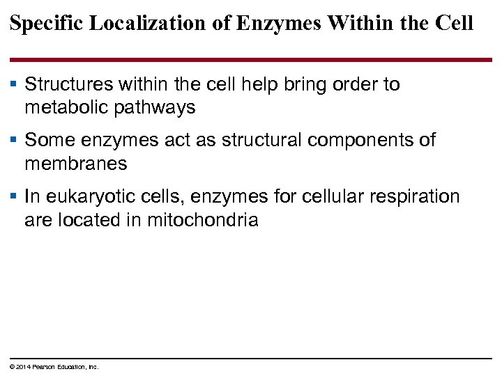 Specific Localization of Enzymes Within the Cell § Structures within the cell help bring