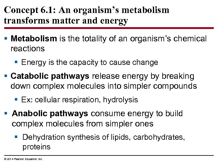 Concept 6. 1: An organism’s metabolism transforms matter and energy § Metabolism is the