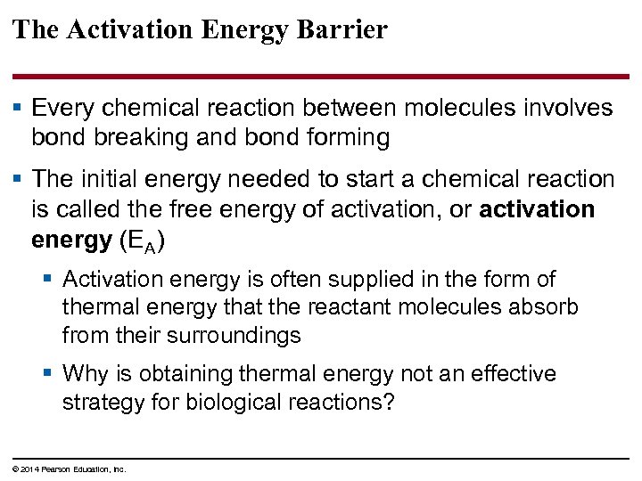 The Activation Energy Barrier § Every chemical reaction between molecules involves bond breaking and