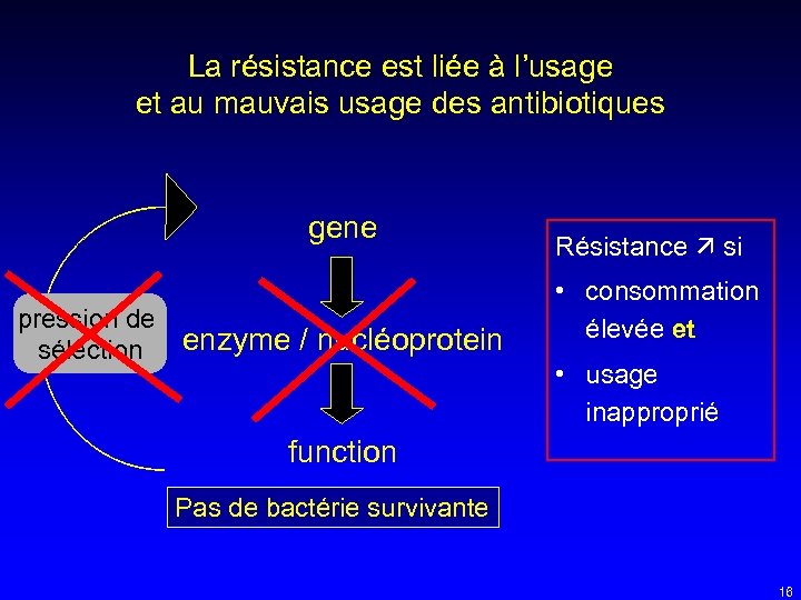 La résistance est liée à l’usage et au mauvais usage des antibiotiques gene pression