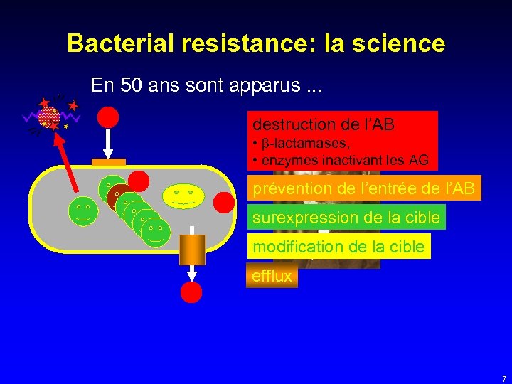 Bacterial resistance: la science En 50 ans sont apparus. . . destruction de l’AB