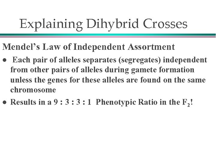 Explaining Dihybrid Crosses Mendel’s Law of Independent Assortment l l Each pair of alleles