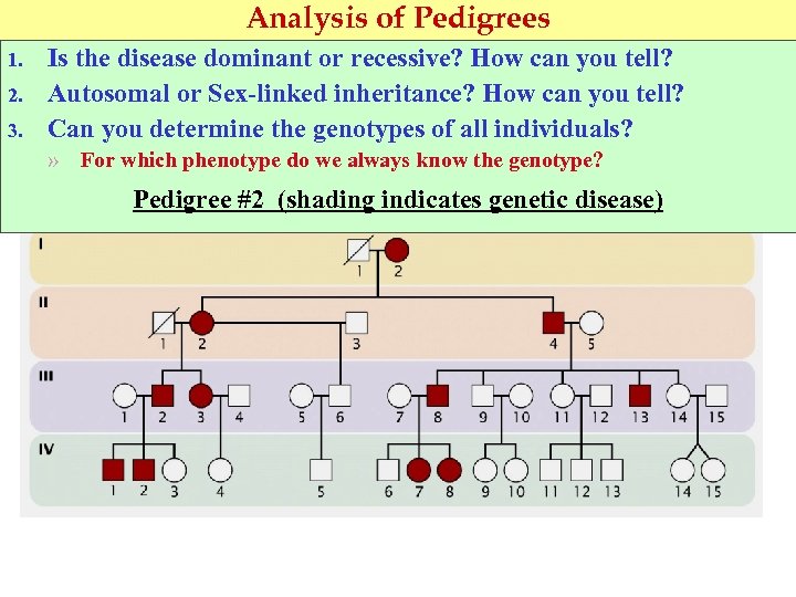 Analysis of Pedigrees 1. 2. 3. Is the disease dominant or recessive? How can