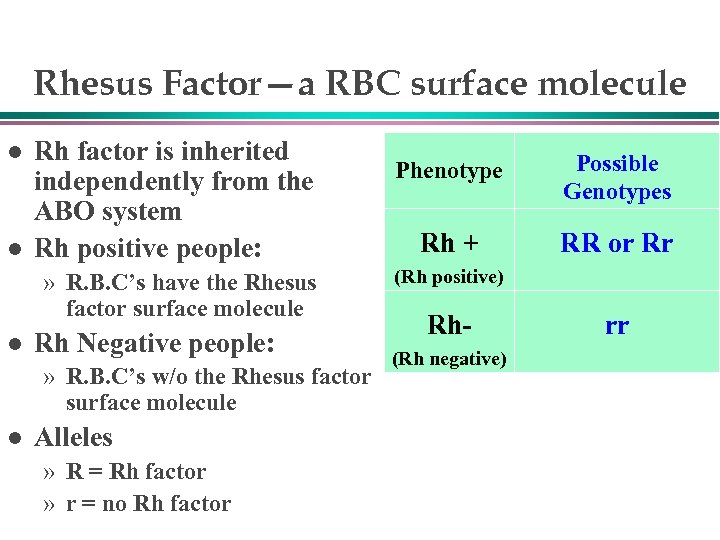 Rhesus Factor—a RBC surface molecule l l Rh factor is inherited independently from the