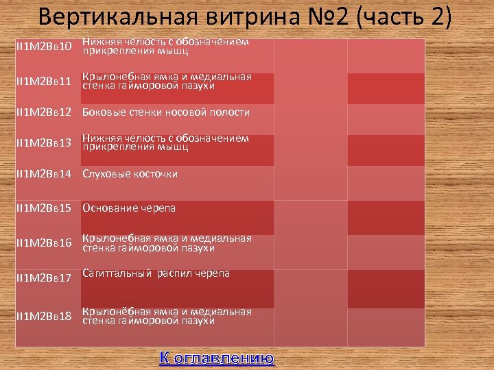 Вертикальная витрина № 2 (часть 2) II 1 М 2 Вв 10 Нижняя челюсть