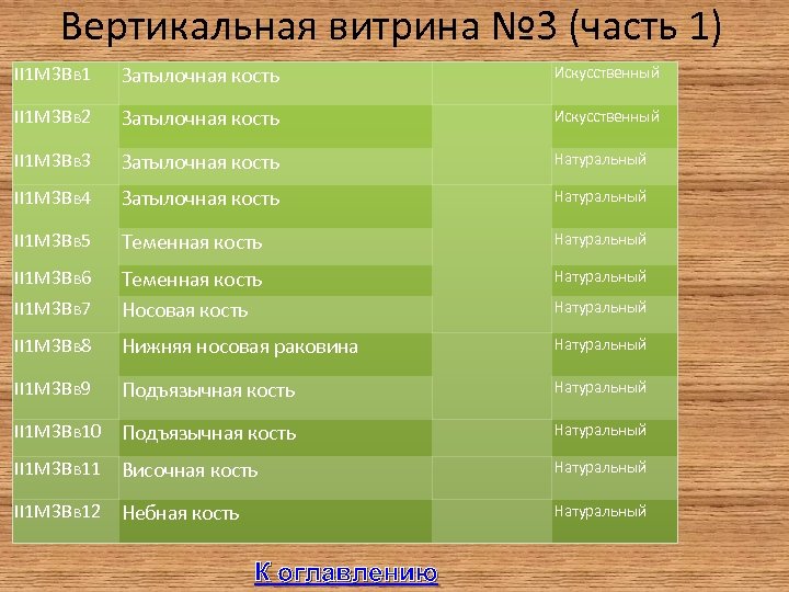 Вертикальная витрина № 3 (часть 1) II 1 М 3 Вв 1 Затылочная кость