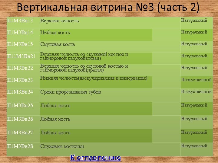 Вертикальная витрина № 3 (часть 2) II 1 М 3 Вв 13 Верхняя челюсть