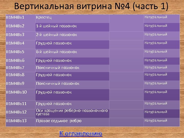Вертикальная витрина № 4 (часть 1) II 1 М 4 Вв 1 Крестец Натуральный