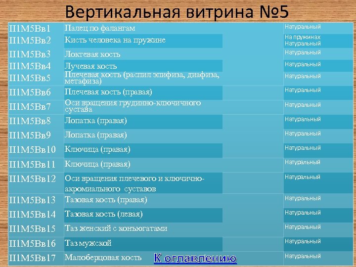 II 1 М 5 Вв 1 II 1 М 5 Вв 2 II 1