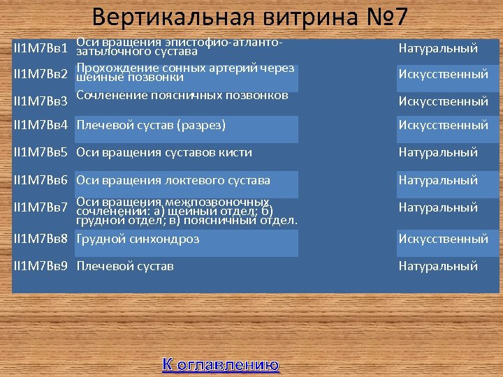 Вертикальная витрина № 7 II 1 М 7 Вв 1 Оси вращения эпистофио-атлантозатылочного сустава