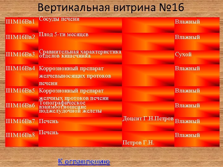 Вертикальная витрина № 16 II 1 М 16 Вв 1 Сосуды печени Влажный II