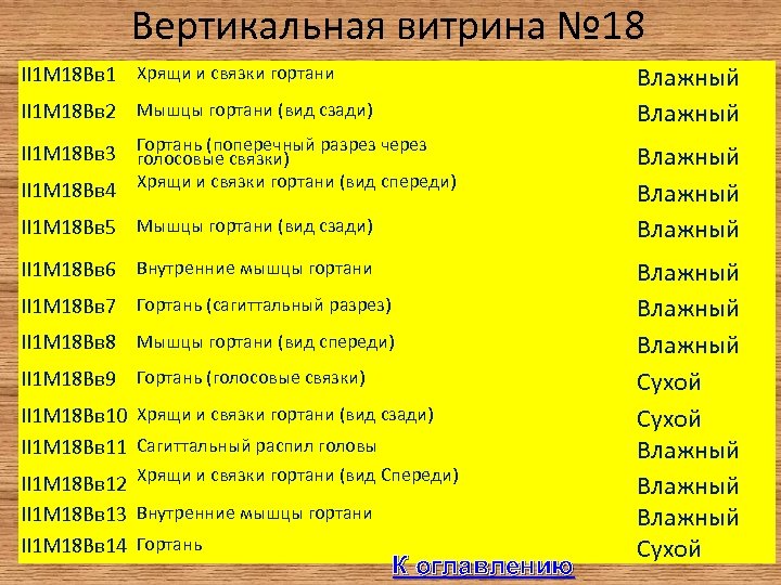 Вертикальная витрина № 18 Влажный II 1 М 18 Вв 1 Хрящи и связки