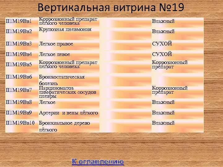 Вертикальная витрина № 19 Влажный II 1 М 19 Вв 2 Коррозионный препарат лёгкого