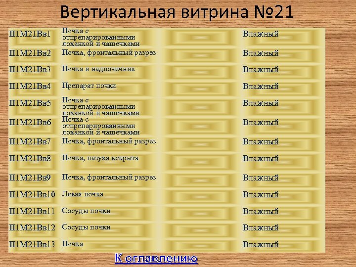 Вертикальная витрина № 21 Влажный II 1 М 21 Вв 2 Почка с отпрепарированными