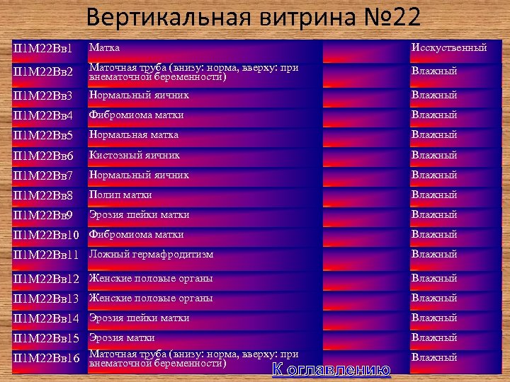 Вертикальная витрина № 22 II 1 М 22 Вв 1 Матка Исскуственный II 1