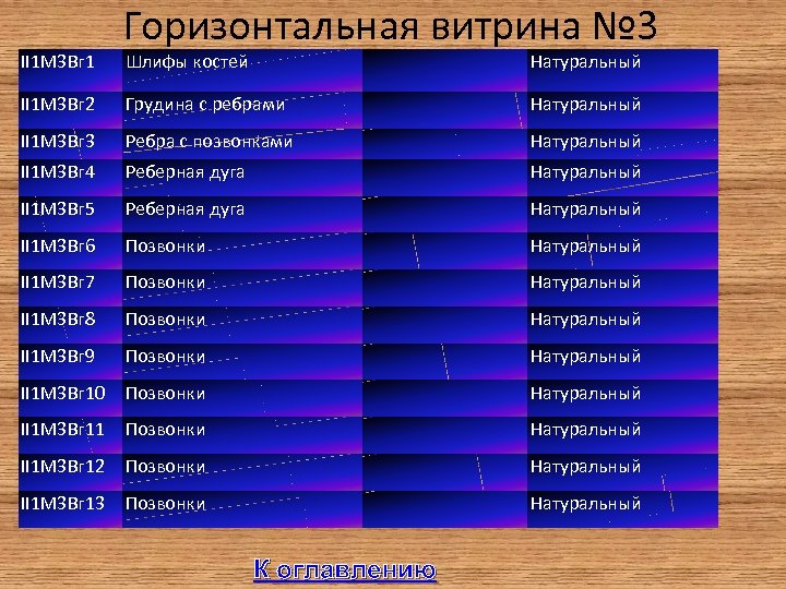 II 1 М 3 Вг 1 Горизонтальная витрина № 3 Шлифы костей Натуральный II