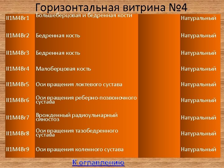 II 1 М 4 Вг 1 Горизонтальная витрина № 4 Большеберцовая и бедренная кости