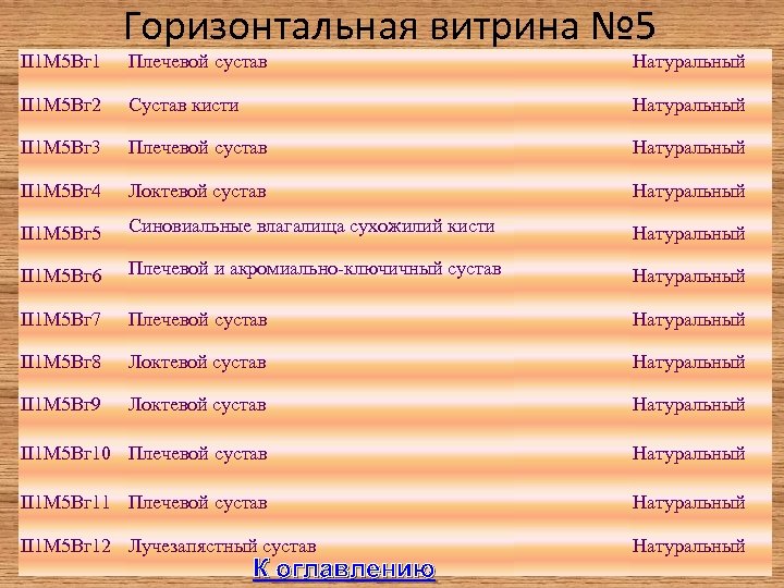 II 1 М 5 Вг 1 Горизонтальная витрина № 5 Плечевой сустав Натуральный II