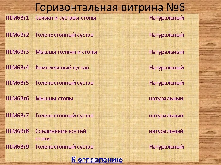 II 1 М 6 Вг 1 Горизонтальная витрина № 6 Связки и суставы стопы