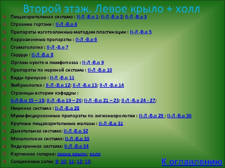 Второй этаж. Левое крыло + холл Пищеварительная система : II-Л -В. в 1; II-Л
