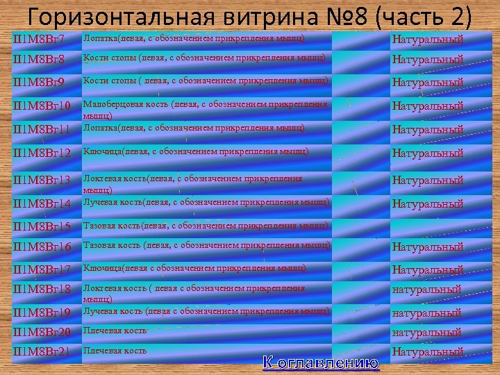 Горизонтальная витрина № 8 (часть 2) II 1 М 8 Вг 7 Лопатка(левая, с